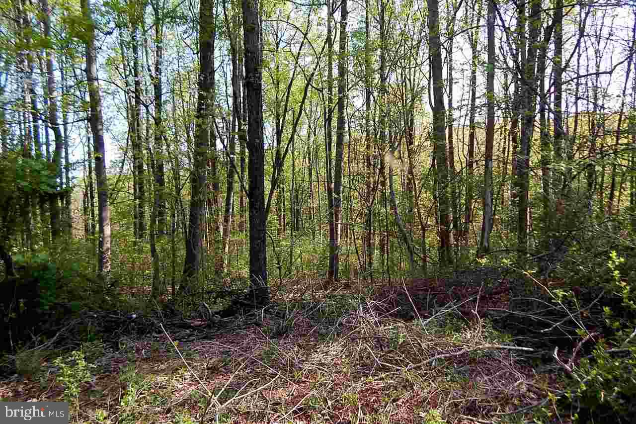 Lot Firestone Firestone Road Dover, PA 17315 - Photo 3 of 4 Gallery Image 3