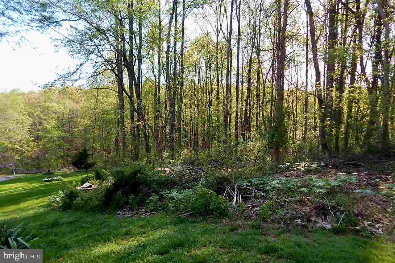 Lot Firestone Firestone Road Dover, PA 17315 - Photo 4 of 4 Gallery Image 4