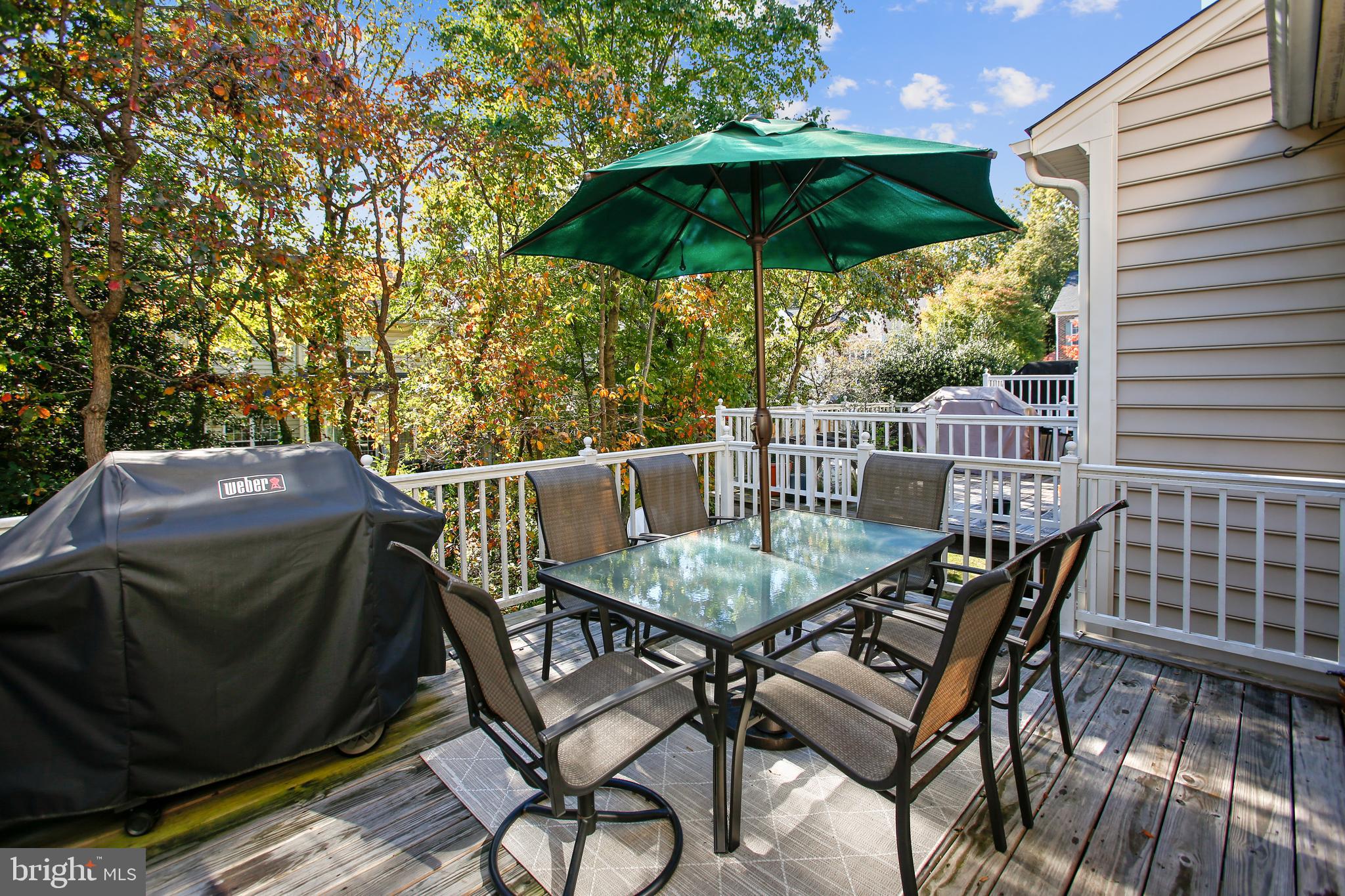 11489 Heritage Commons Way Reston, VA 20194 - Photo 16 of 54 Wood Deck BACKING TO TREES!!!
