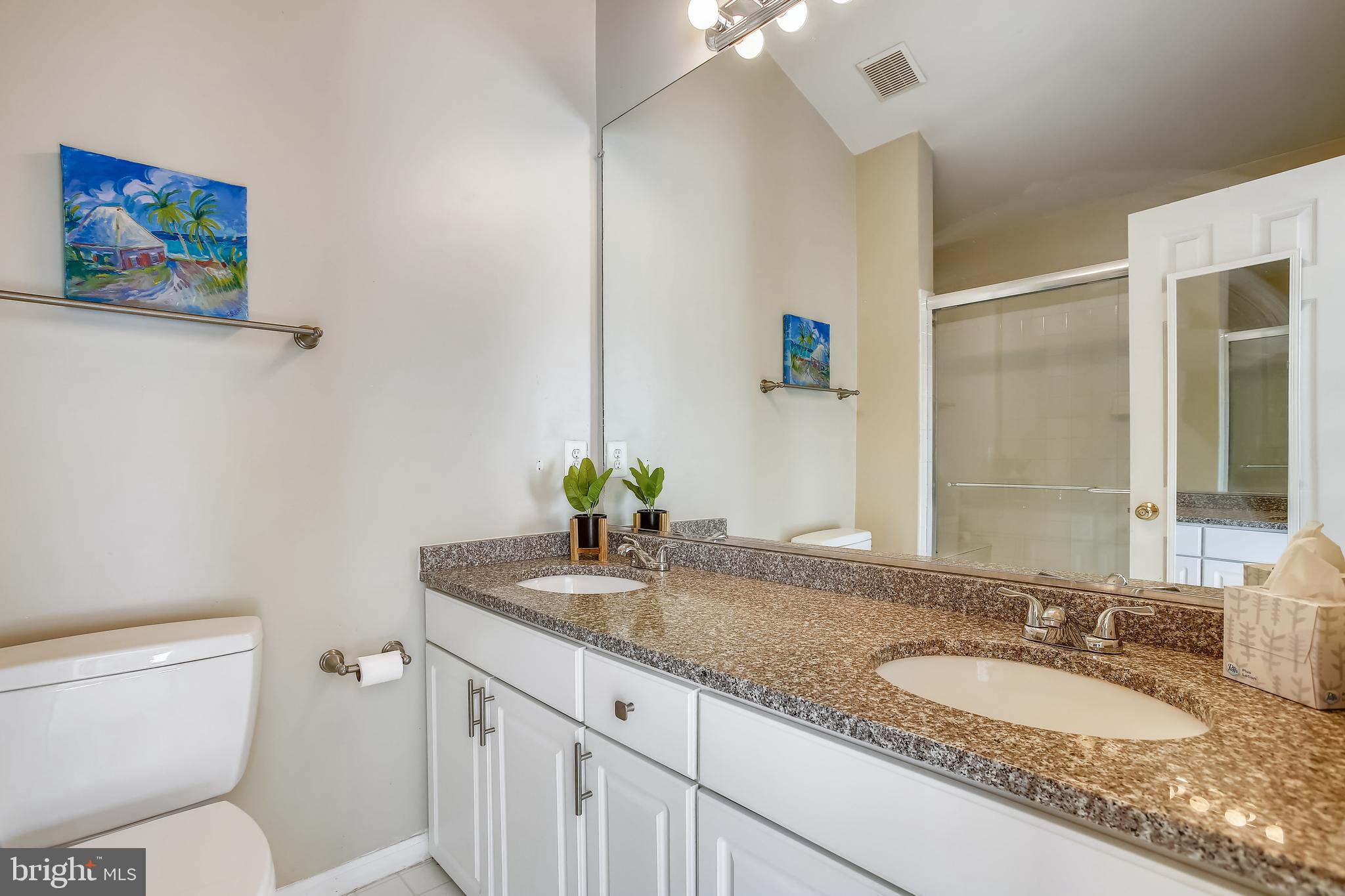 11489 Heritage Commons Way Reston, VA 20194 - Photo 24 of 54 Updated Vanity Top - Private Primary Bedroom Suite