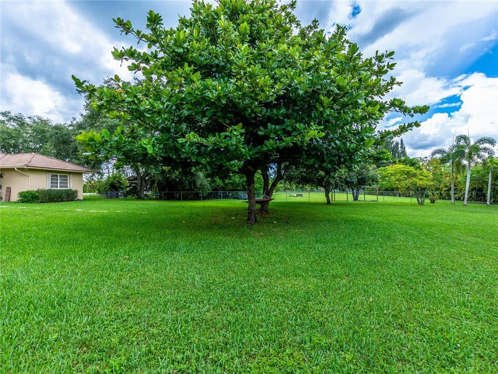 5520 Southwest 166th Avenue Southwest Ranches, FL 33331 - Photo 41 of 50 a view of green field with trees in the background