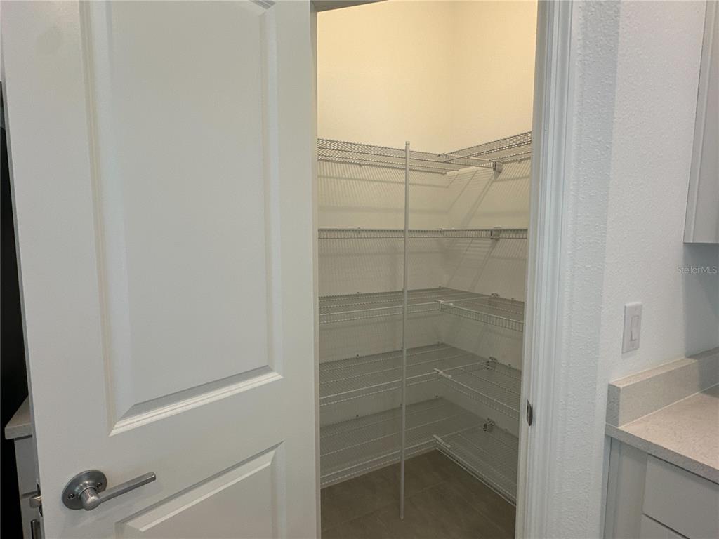 2397 Paravane Way Wesley Chapel, FL 33543 - Photo 25 of 42