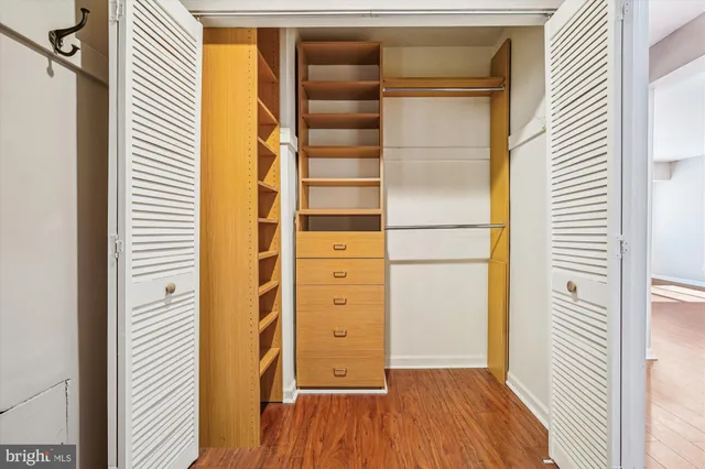 a view of walk in closet with empty racks