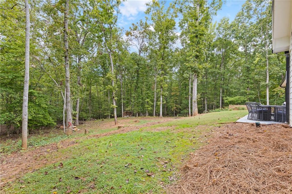 229 Samson Way Cleveland, GA 30528 - Photo 31 of 34 Gallery Image 31