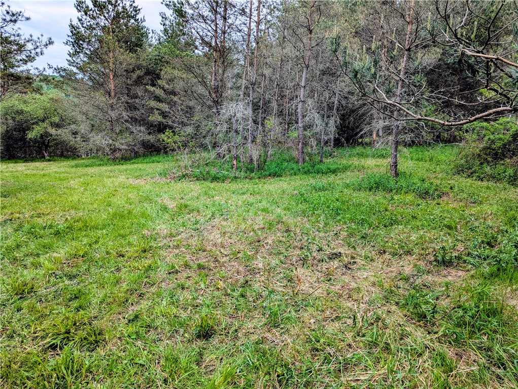 0 Two 2 Mile Road Port Allegany, PA 16743 - Photo 10 of 29