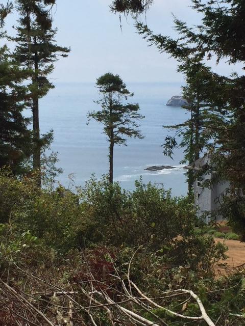 Lot #7 Baker Ranch Road Trinidad, CA 95570 - Photo 3 of 4
