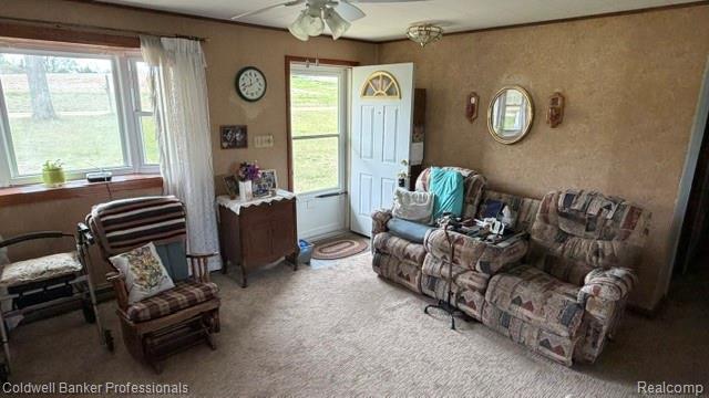 3595 Hutchinson Road North Branch, MI 48461 - Photo 12 of 23