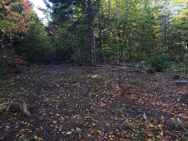 $30,000 | Lot 6 North S Shore Rd Island Falls, Island Falls, ME 04747
