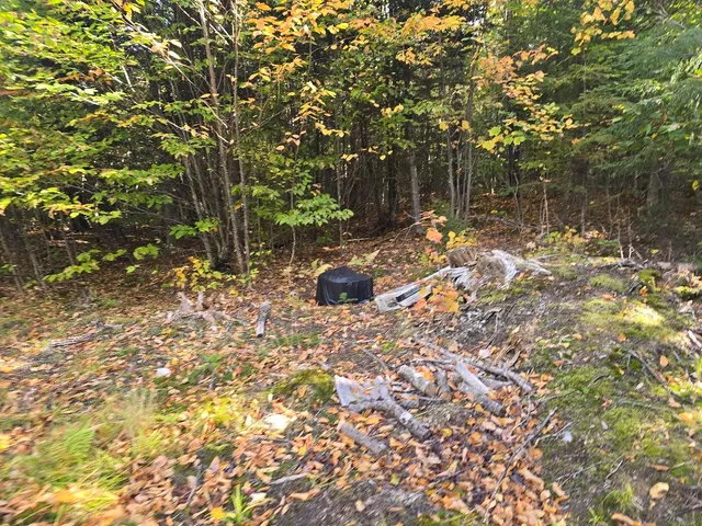 $30,000 | Lot 6 North S Shore Rd Island Falls, Island Falls, ME 04747