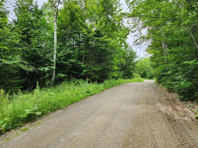 $30,000 | Lot 6 North S Shore Rd Island Falls, Island Falls, ME 04747
