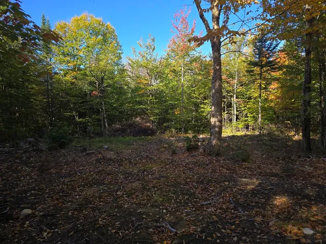 $30,000 | Lot 6 North S Shore Rd Island Falls, Island Falls, ME 04747