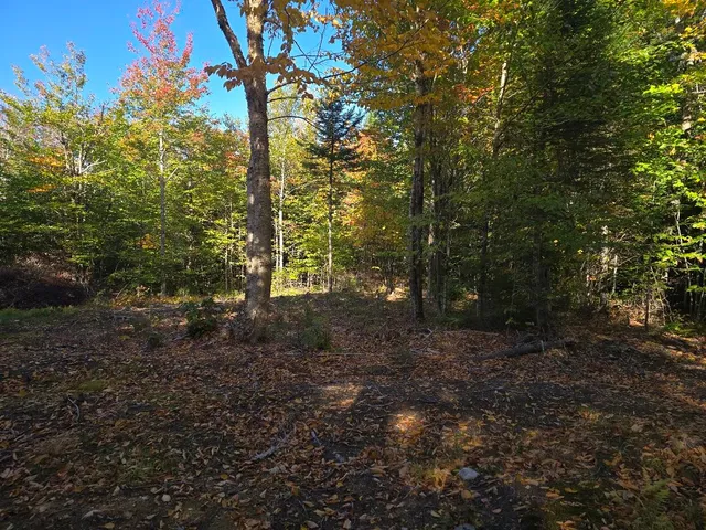 $30,000 | Lot 6 North S Shore Rd Island Falls, Island Falls, ME 04747