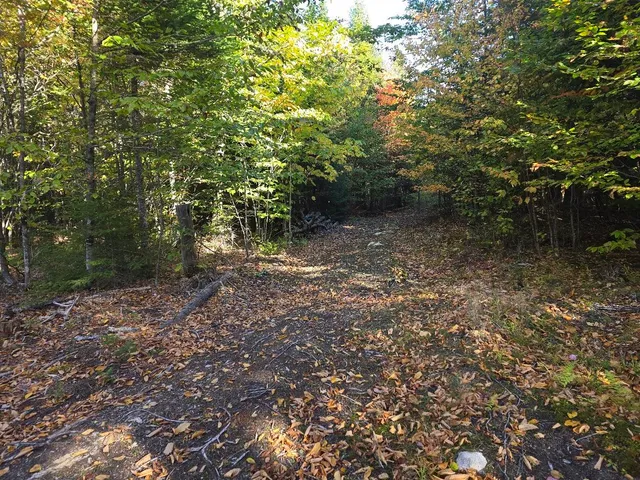 $30,000 | Lot 6 North S Shore Rd Island Falls, Island Falls, ME 04747