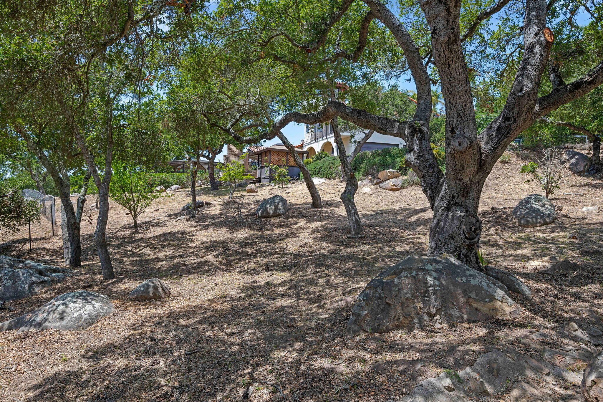 2106 Mt Calvary Road Santa Barbara, CA 93105 - Photo 61 of 66 a view of a tree in a yard