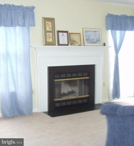 2132 Colonel Way, Unit 17 Odenton, MD 21113 - Photo 3 of 20 FIREPLACE