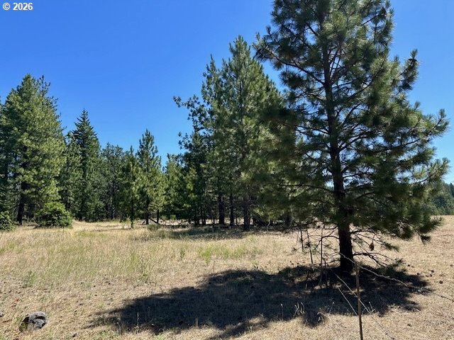 41 Timber Drive Goldendale, WA 98620 - Photo 19 of 23