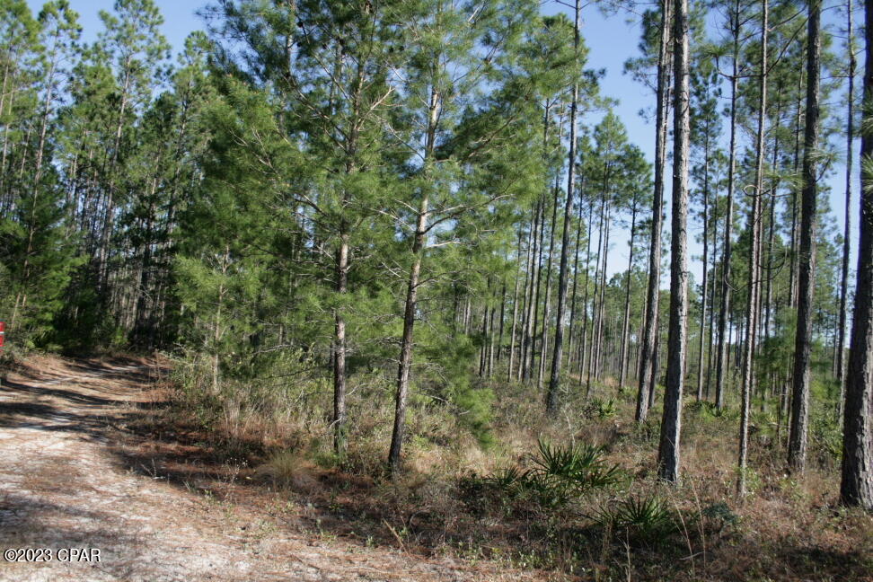 19732 Timbercrest Road Fountain, FL 32438 - Photo 40 of 40