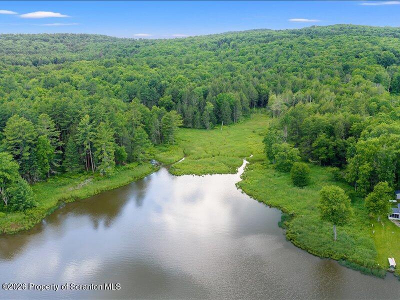 Stanley Lake Road Friendsville, PA 18818 - Photo 12 of 15 13-DJI_20260618041712_0130_D