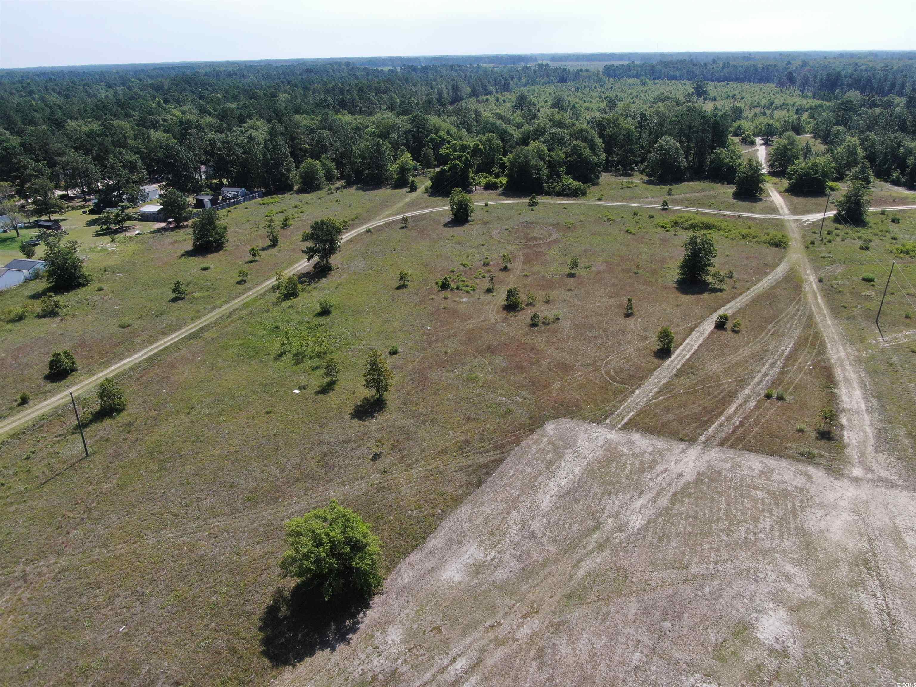 Tbd Pee Dee Church Road Dillon, SC 29536 - Photo 4 of 10 Gallery Image 4