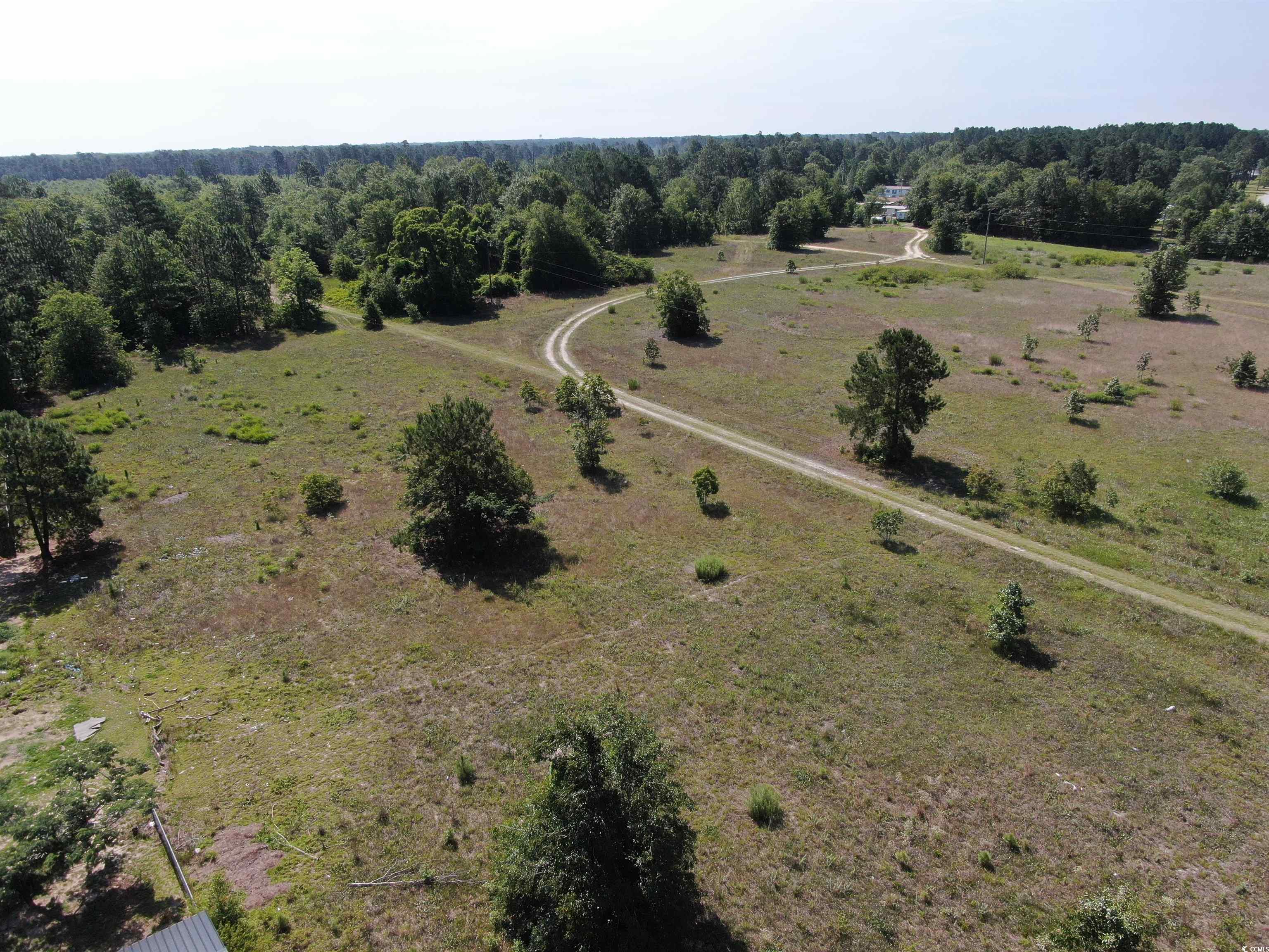 Tbd Pee Dee Church Road Dillon, SC 29536 - Photo 6 of 10 Gallery Image 6