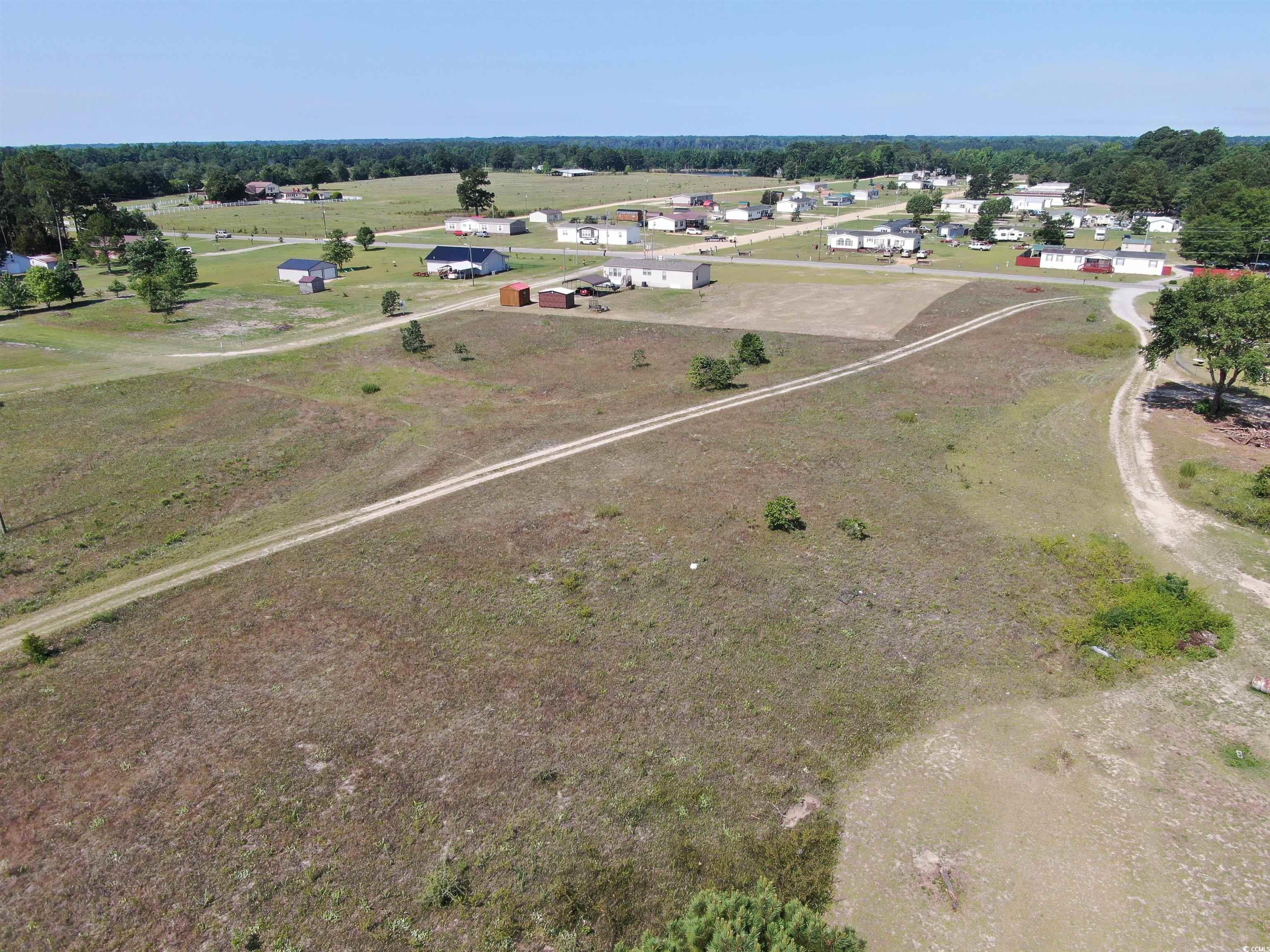 Tbd Pee Dee Church Road Dillon, SC 29536 - Photo 7 of 10 Gallery Image 7