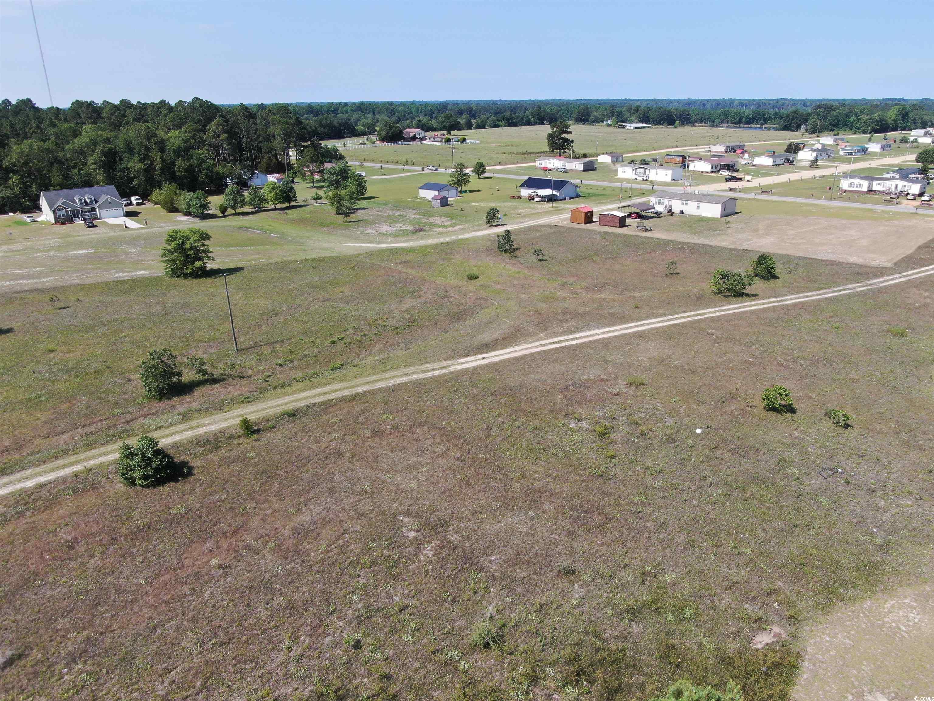 Tbd Pee Dee Church Road Dillon, SC 29536 - Photo 8 of 10 Gallery Image 8