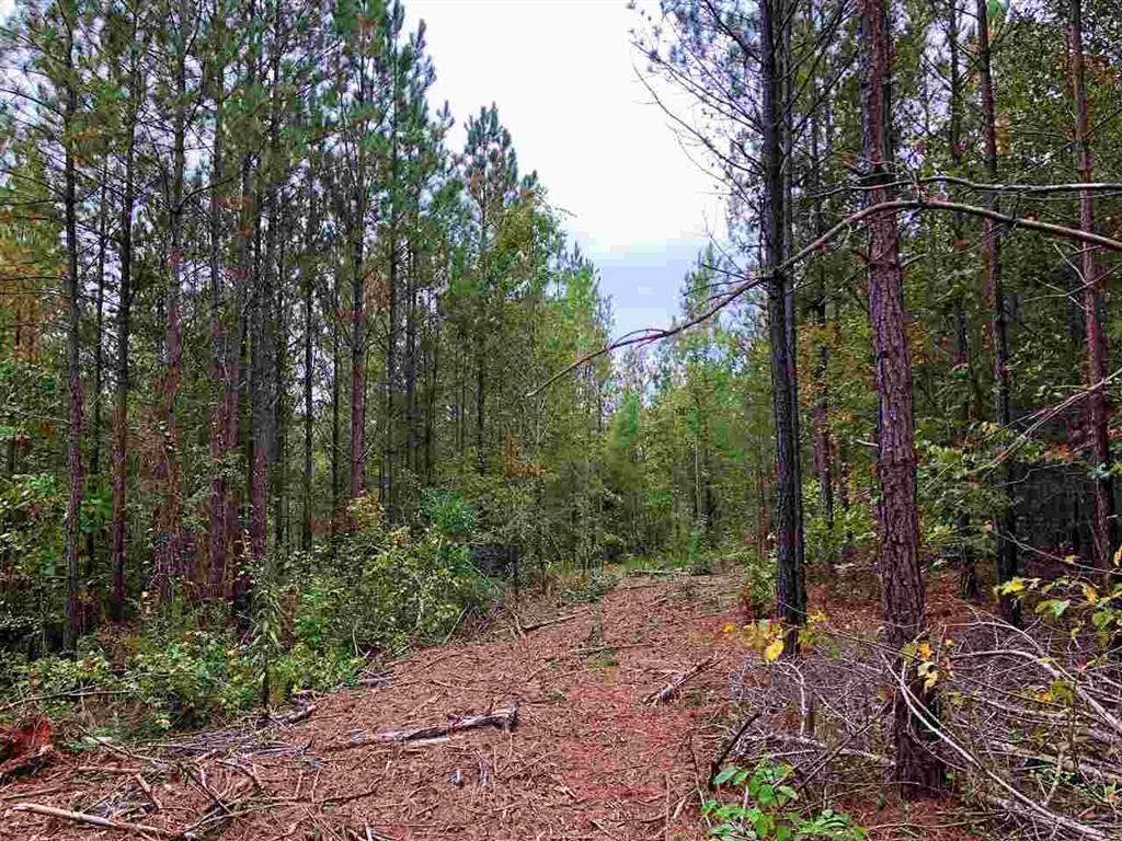 151 Fairfield Road Walhalla, SC 29691 - Photo 12 of 19 Gallery Image 12