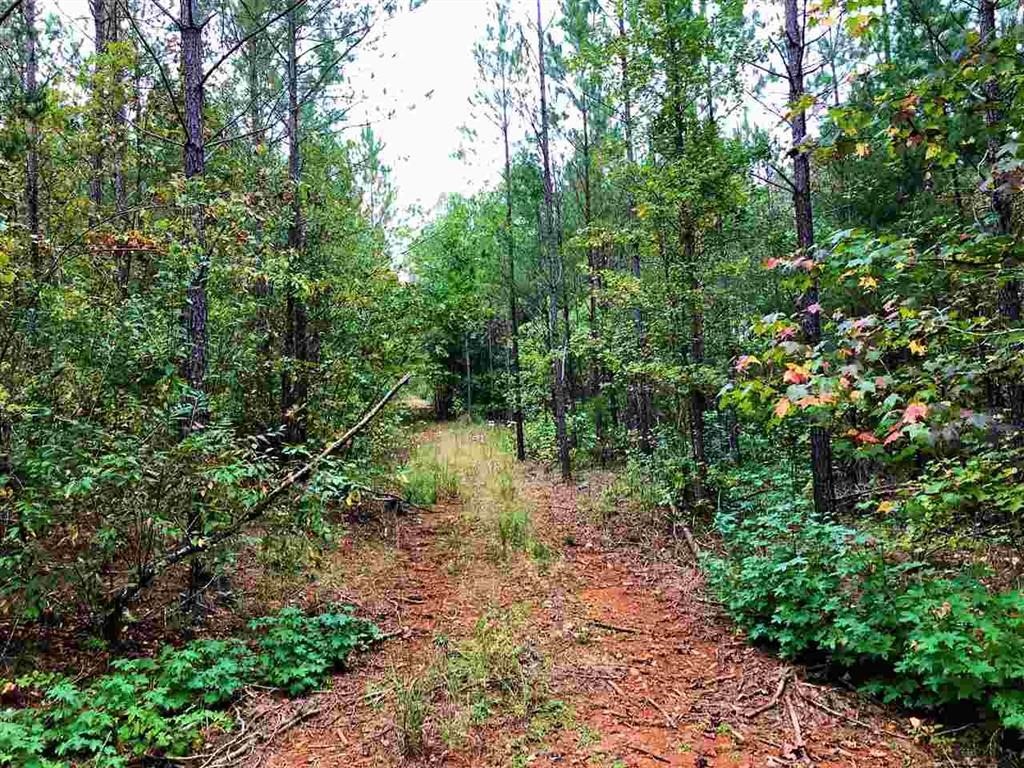 151 Fairfield Road Walhalla, SC 29691 - Photo 15 of 19 Gallery Image 15