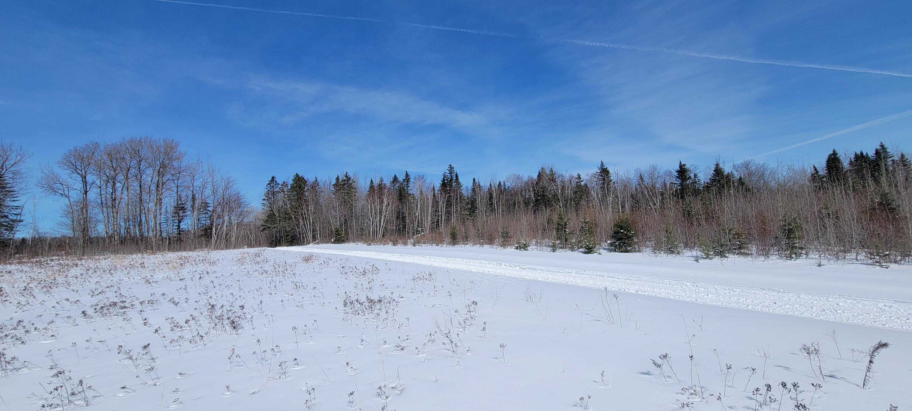 57 A Lavertu Road St. David, ME 04773 - Photo 13 of 16 20240325_131959