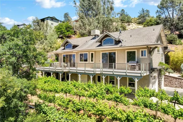 a aerial view of a house with a yard and potted plants