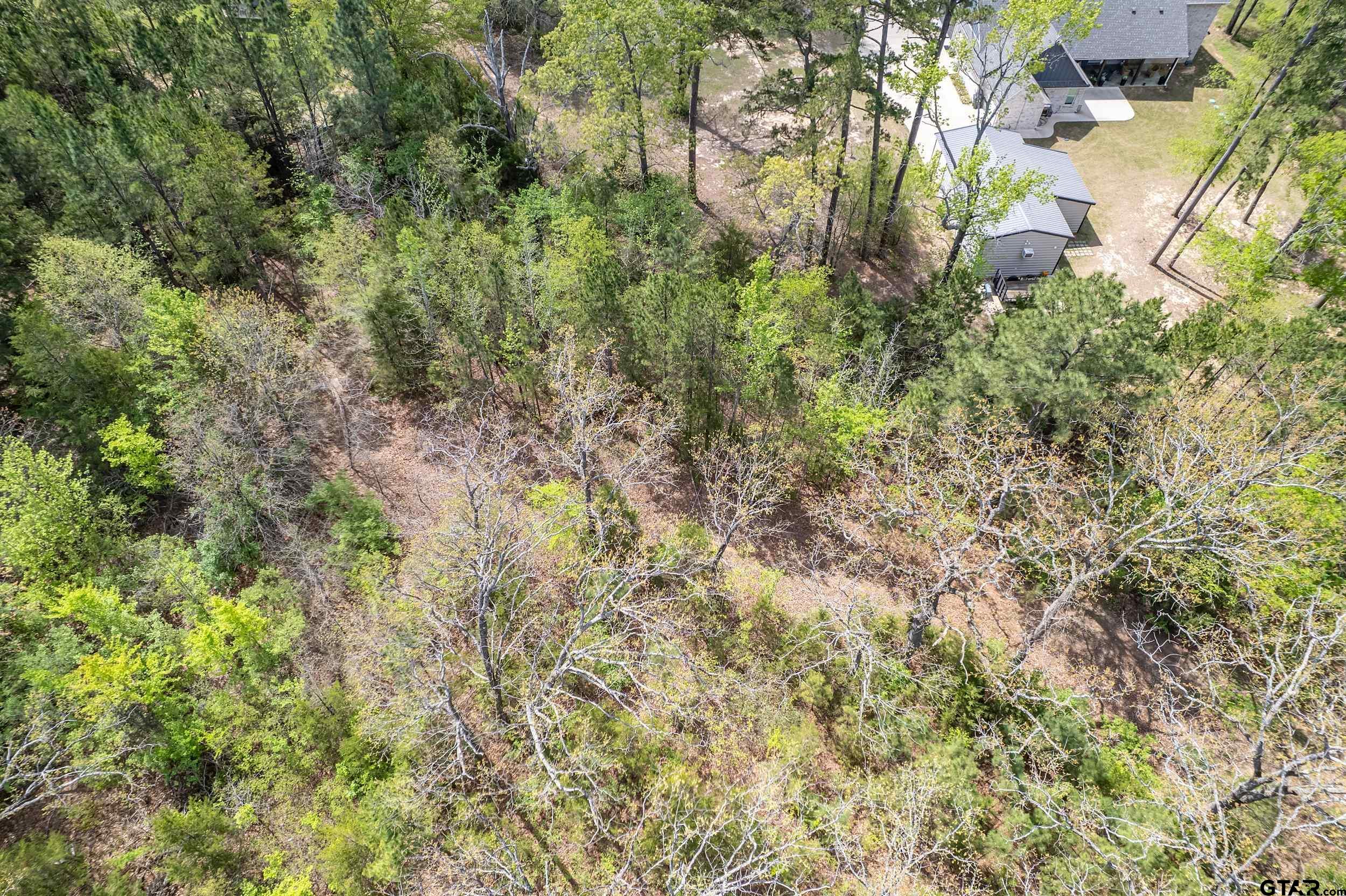 24070 Sun Ridge Road Lindale, TX 75771 - Photo 18 of 20 a view of a yard with plants and trees