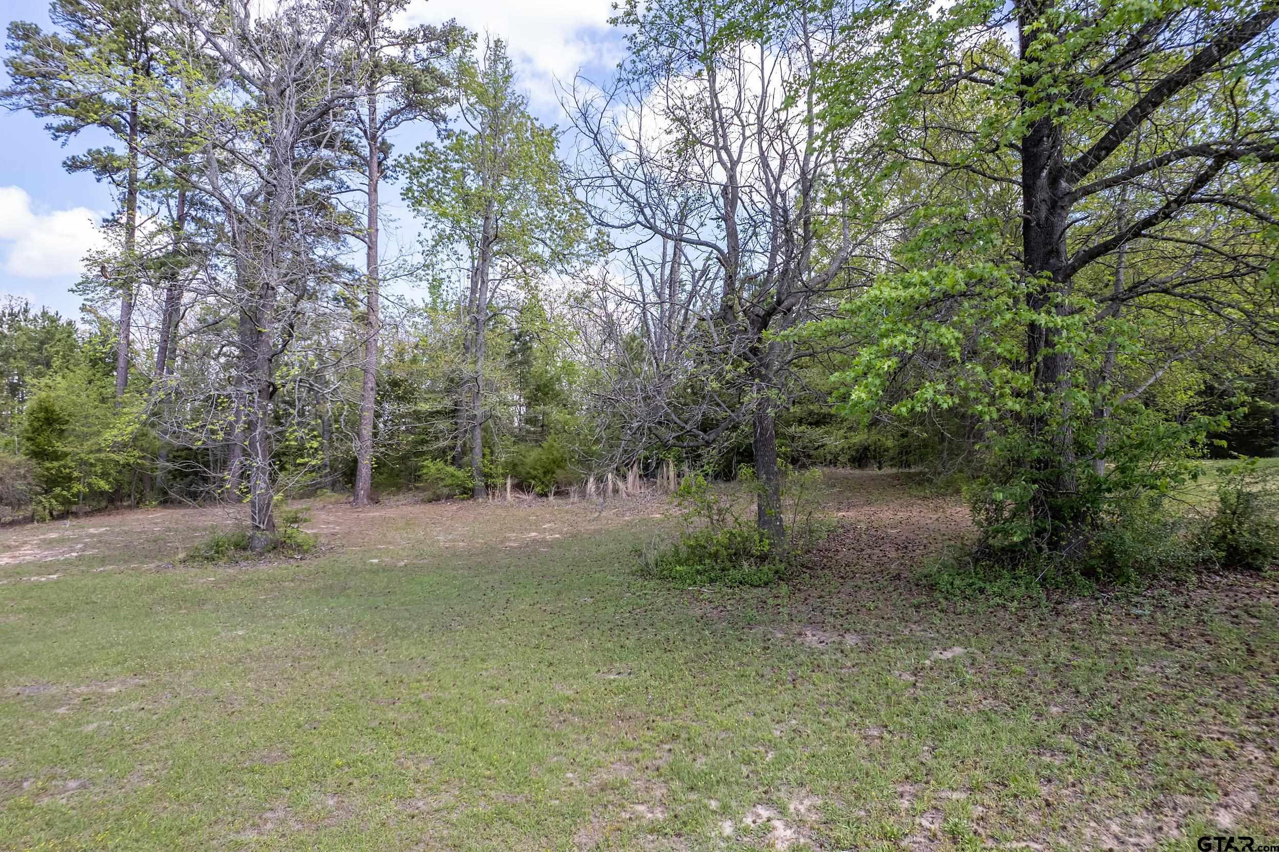 24070 Sun Ridge Road Lindale, TX 75771 - Photo 4 of 20 a view of a forest with trees in the background