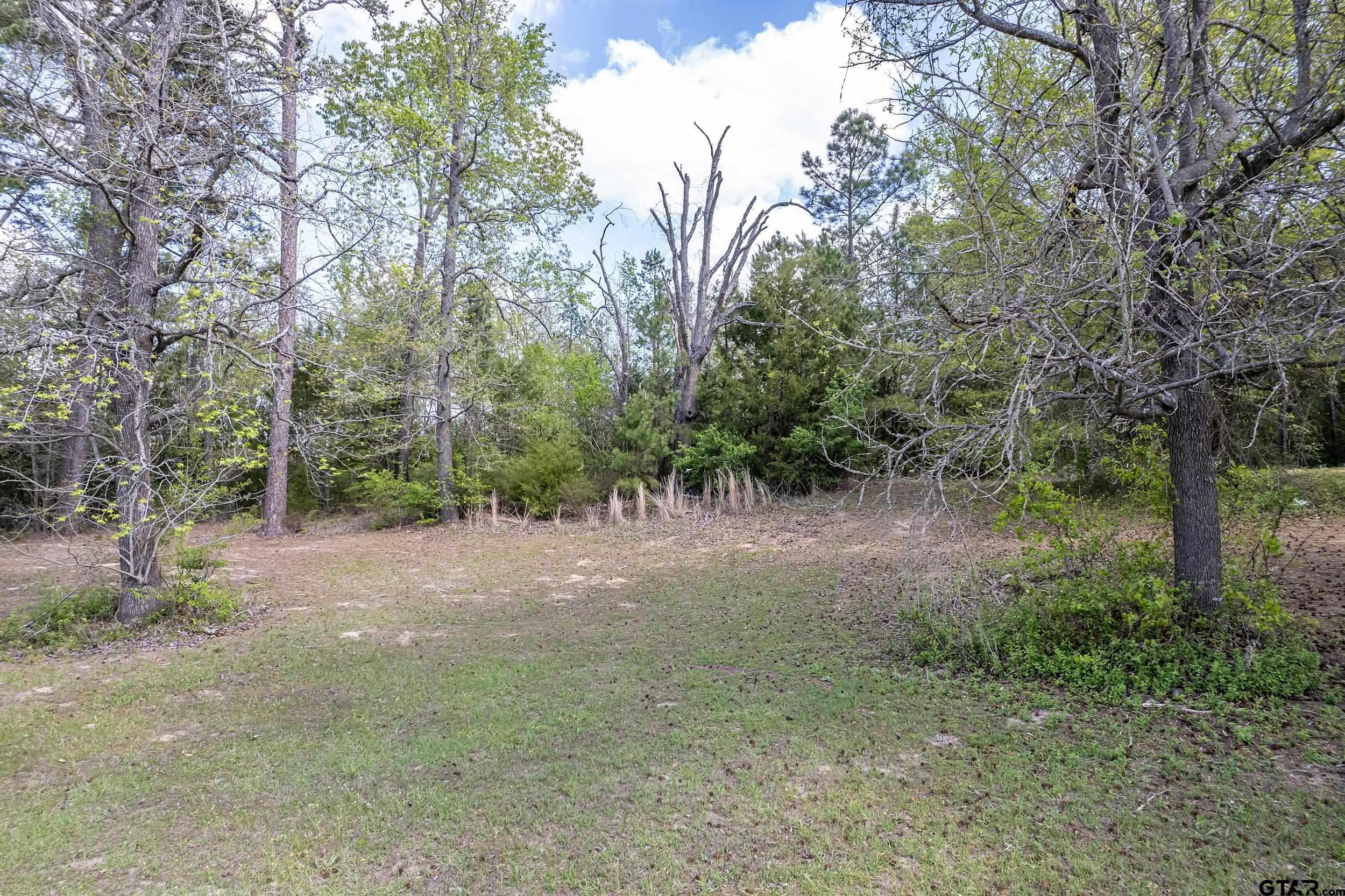 24070 Sun Ridge Road Lindale, TX 75771 - Photo 5 of 20 a view of outdoor space and trees