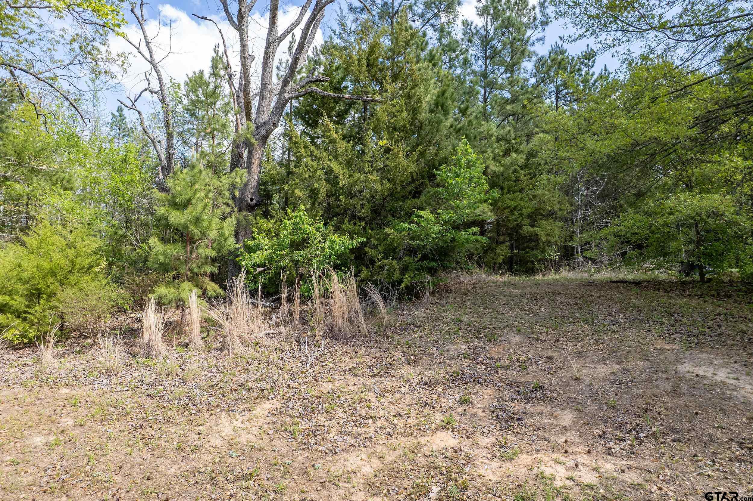 24070 Sun Ridge Road Lindale, TX 75771 - Photo 7 of 20 a view of a yard with large trees