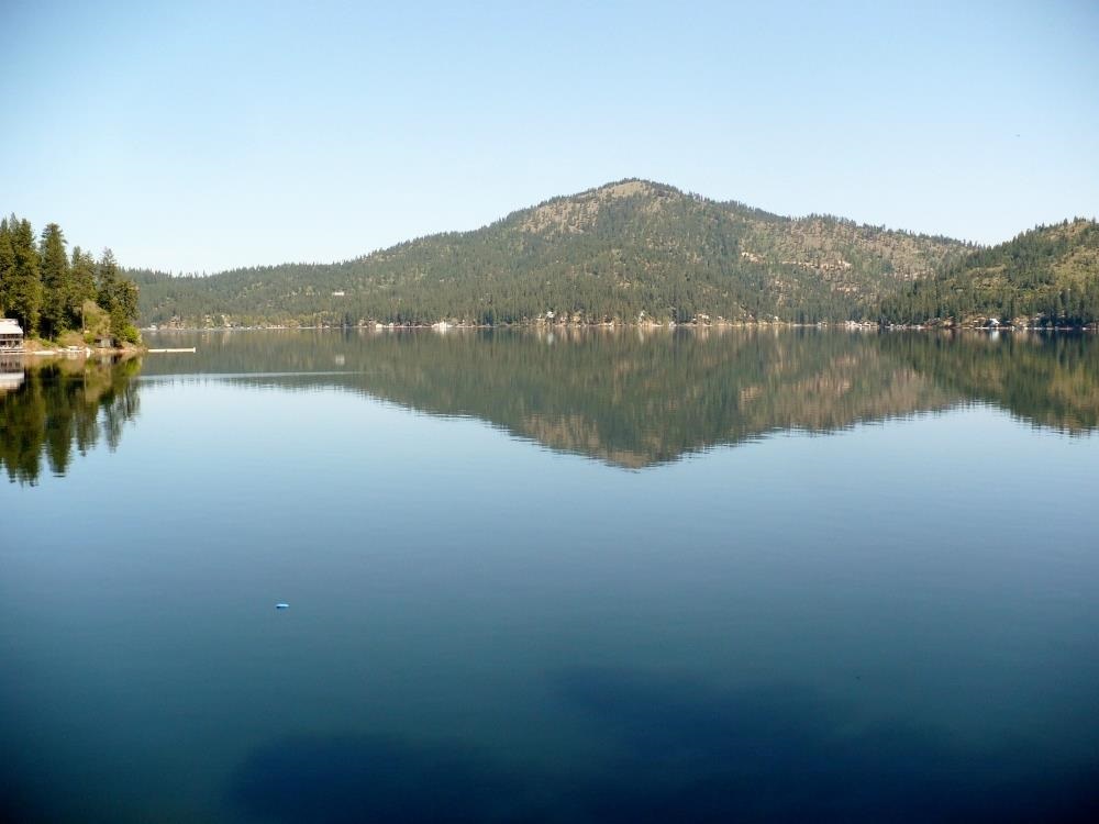 4163 Park Road Loon Lake, WA 99148 - Photo 15 of 17 Gallery Image 15