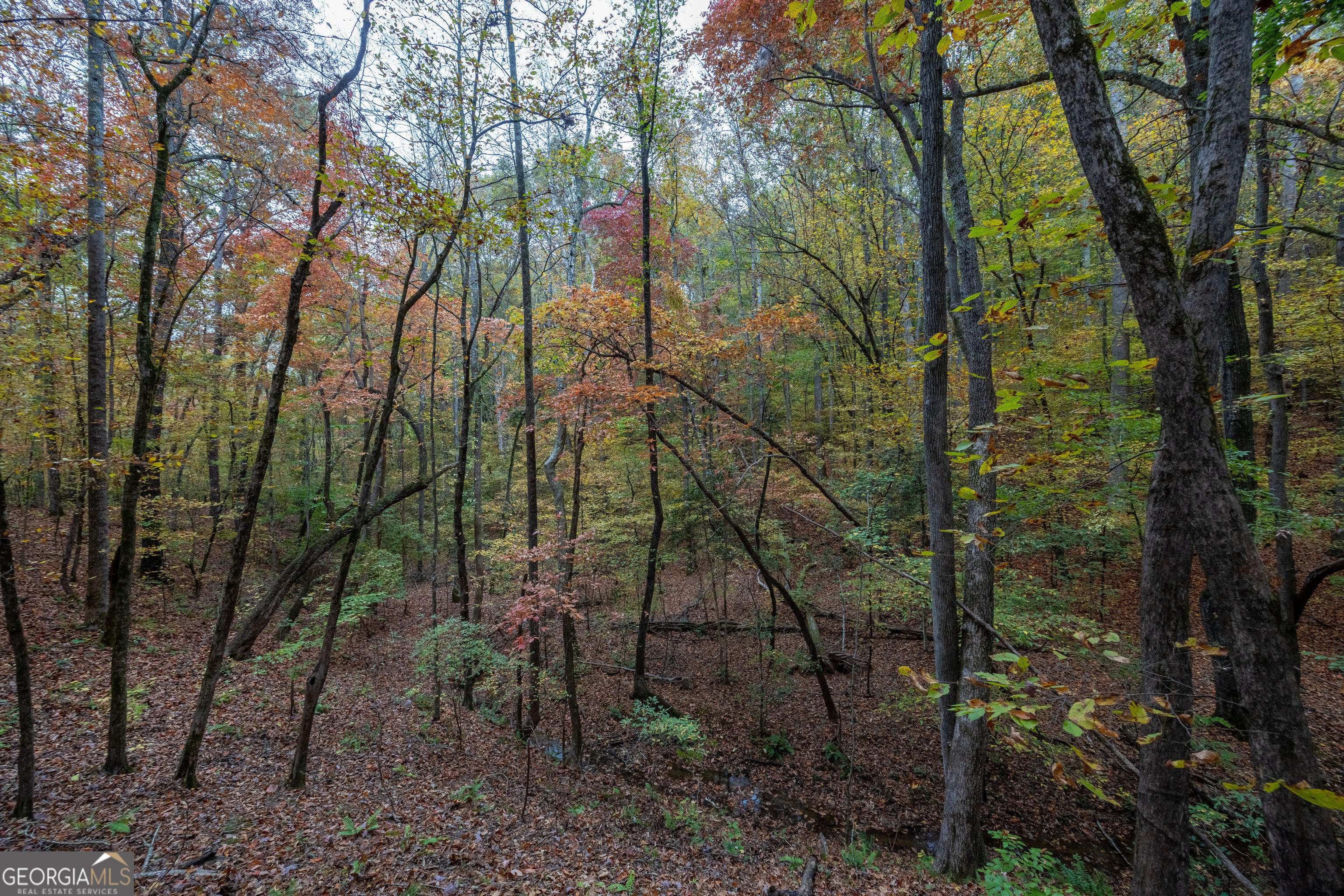 0 Bullock Bridge Road, Unit TRACT 1 Loganville, GA 30656 - Photo 13 of 36 a backyard of a house with lots of green space