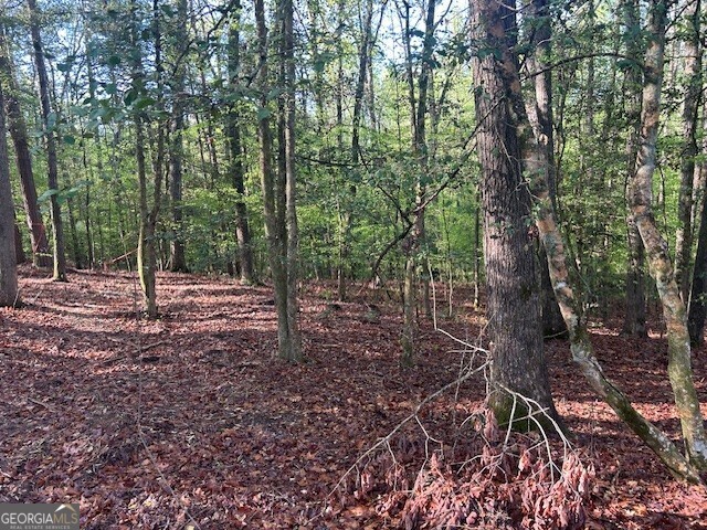 0 Bullock Bridge Road, Unit TRACT 1 Loganville, GA 30656 - Photo 19 of 36 a view of a forest with trees