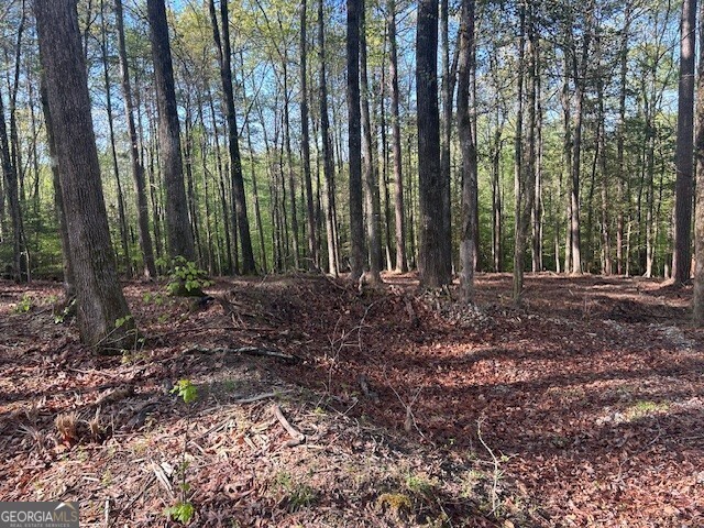 0 Bullock Bridge Road, Unit TRACT 1 Loganville, GA 30656 - Photo 21 of 36 a view of outdoor space with green space