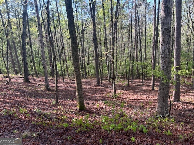 0 Bullock Bridge Road, Unit TRACT 1 Loganville, GA 30656 - Photo 26 of 36 a view of outdoor space with lots of trees
