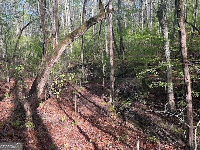 0 Bullock Bridge Road, Unit TRACT 1 Loganville, GA 30656 - Photo 28 of 36 a view of a forest filled with trees and flowers