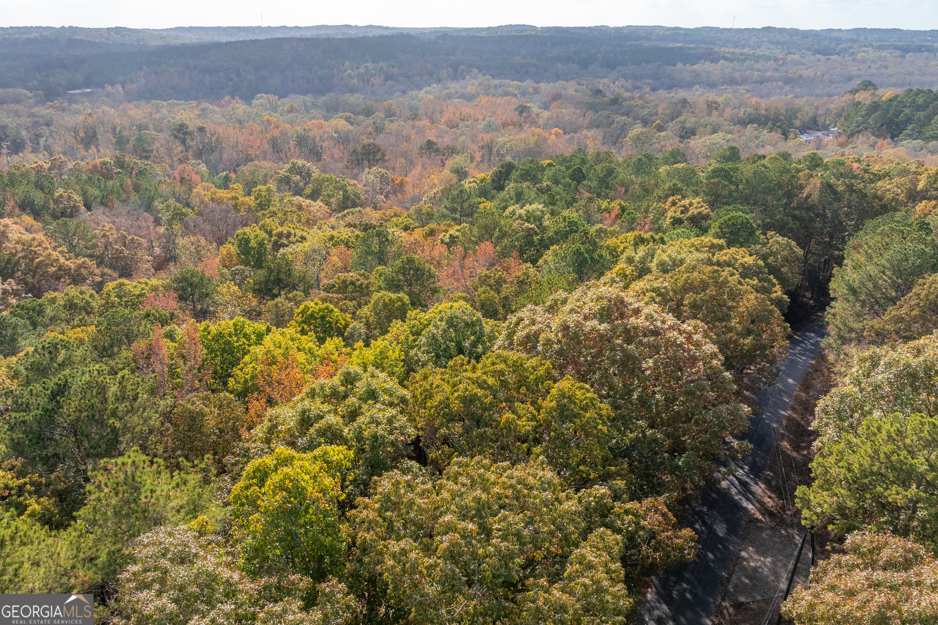 0 Bullock Bridge Road, Unit TRACT 1 Loganville, GA 30656 - Photo 33 of 36 an aerial view of forest