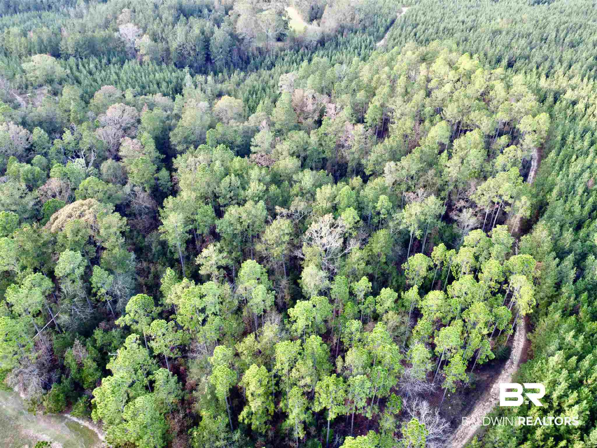 0 Whitetail Run Chatom, AL 36518 - Photo 21 of 29