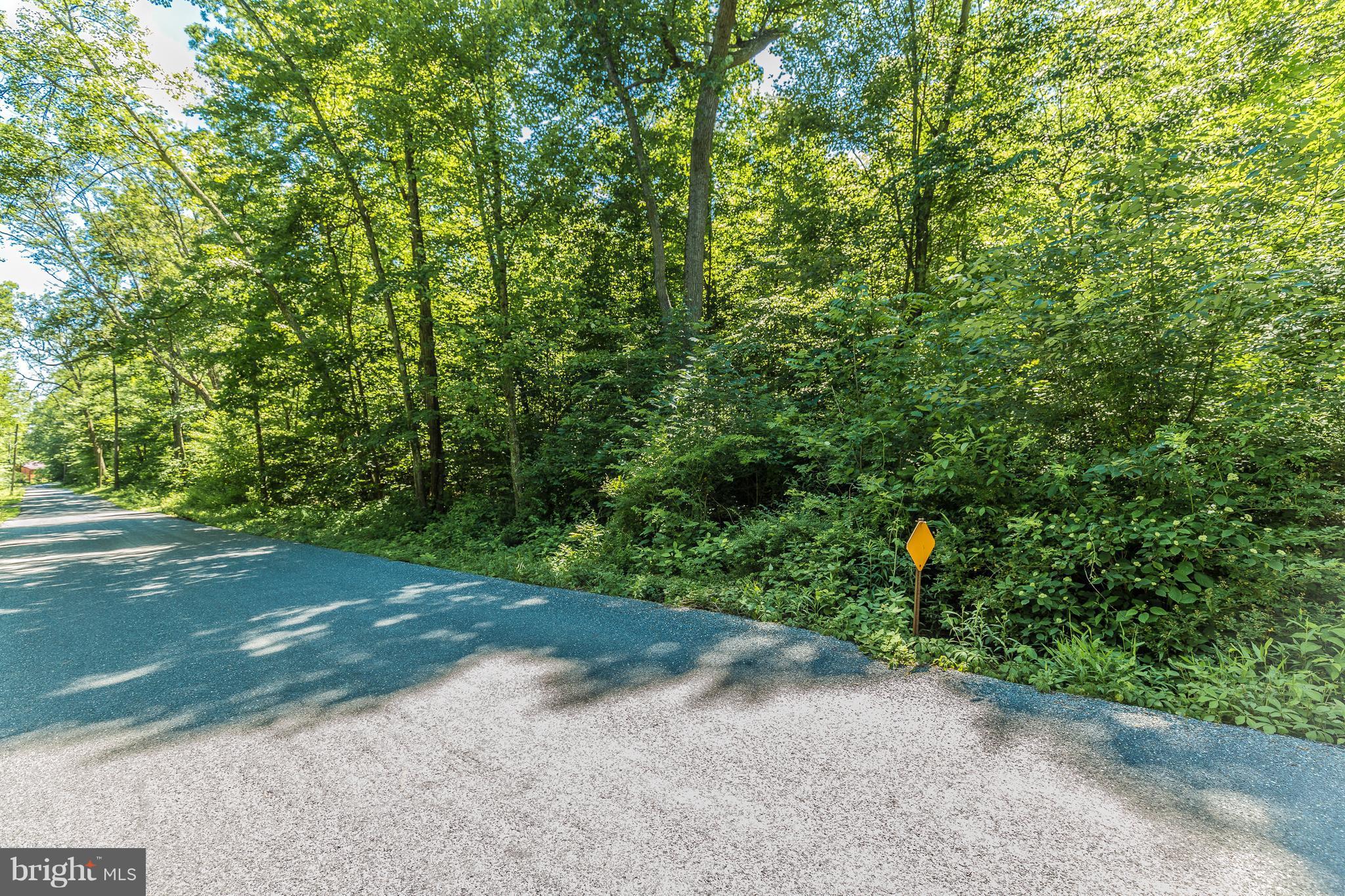Loy Wolfe Road Smithsburg, MD 21783 - Photo 2 of 4 Exterior (General)