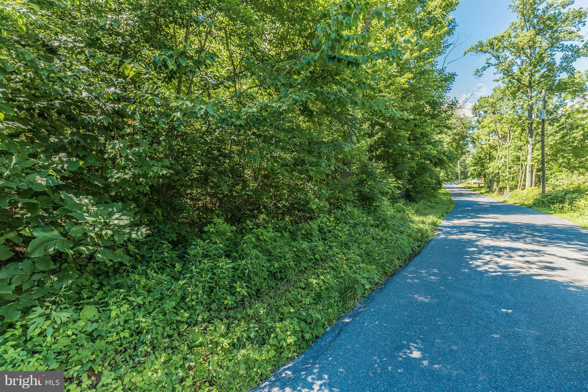 Loy Wolfe Road Smithsburg, MD 21783 - Photo 3 of 4 Exterior (General)