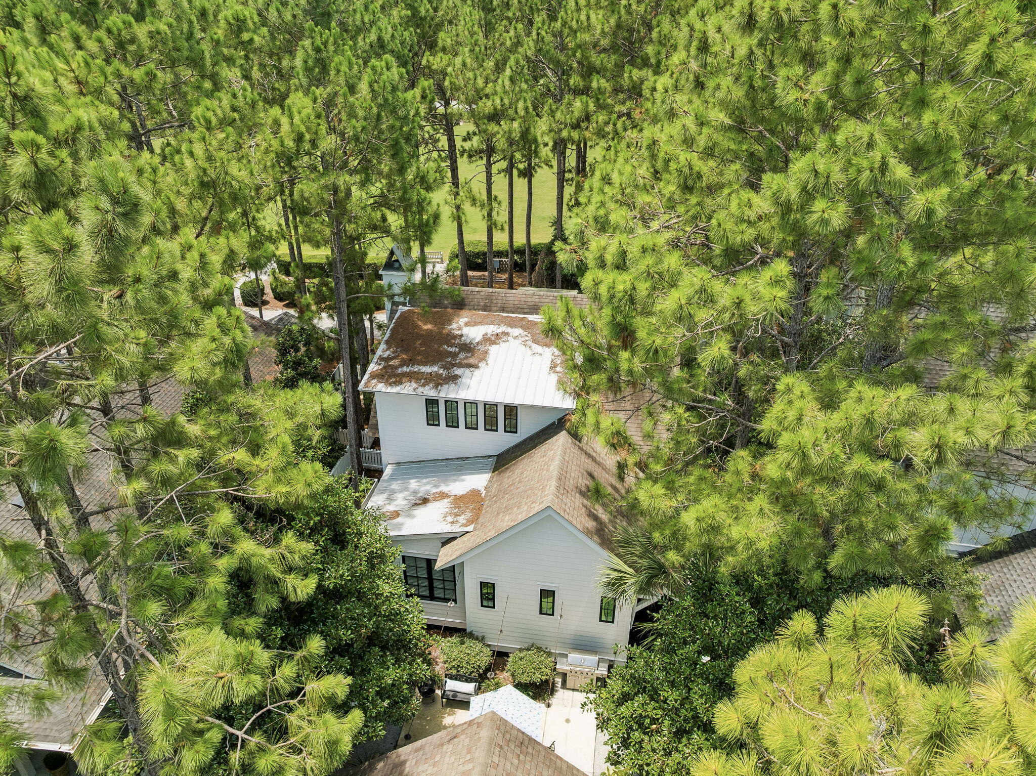 173 Cannonball Lane Inlet Beach, FL 32461 - Photo 3 of 50 Array_173CannonballLane-18