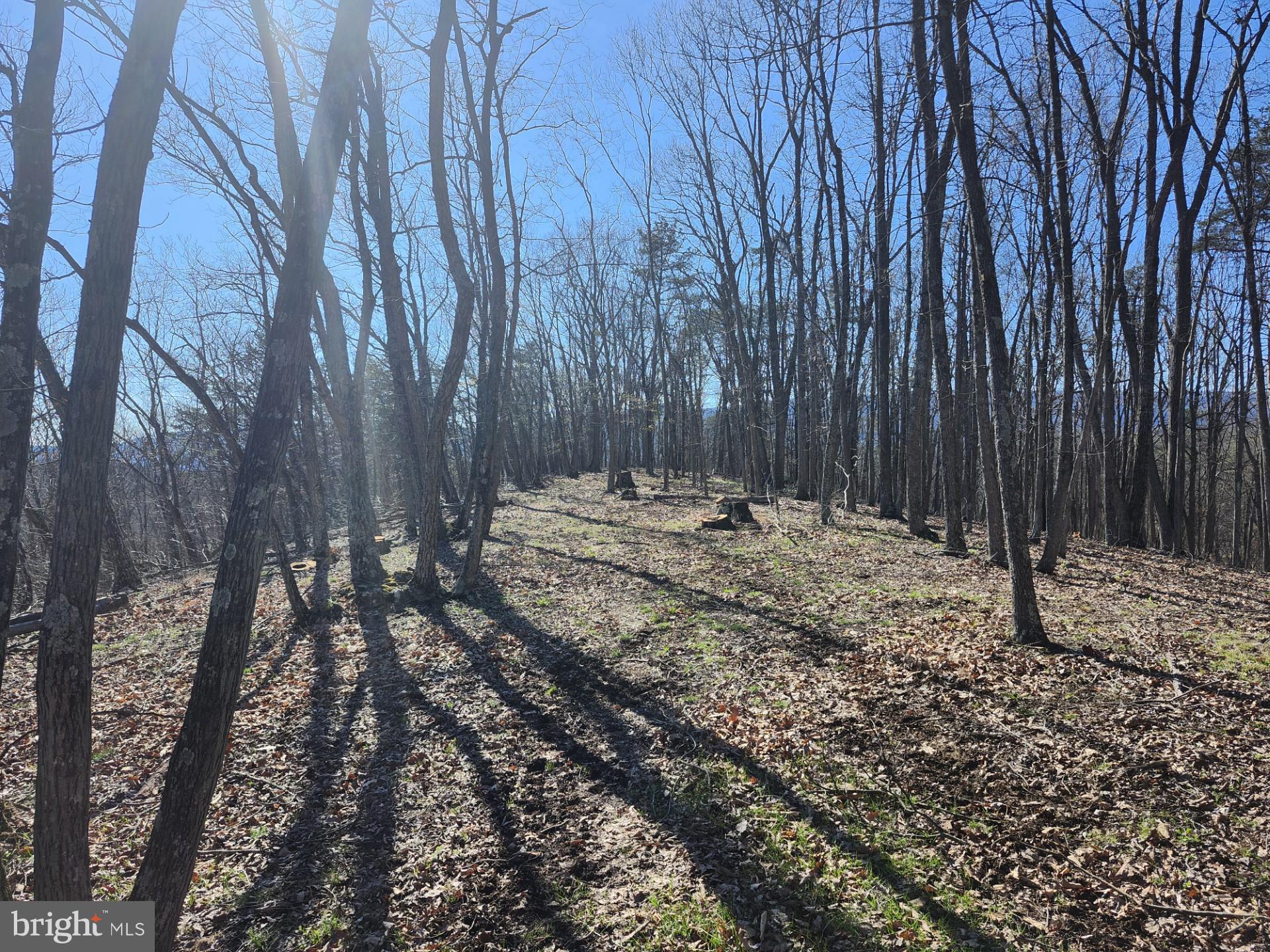 A J Kelley Road Old Fields, WV 26845 - Photo 64 of 65