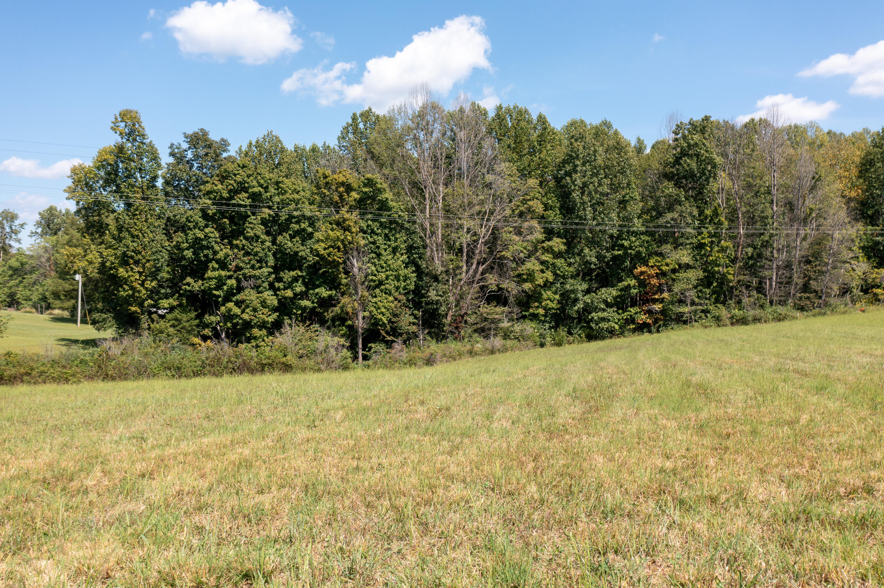 500 Delp Road Liberty, KY 42539 - Photo 23 of 29 DJI_0656-HDR