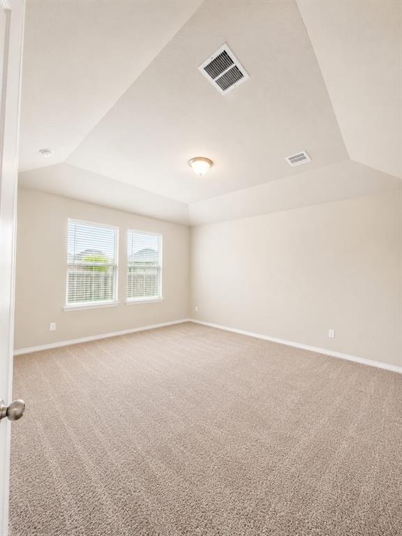1124 Rountree Court Celina, TX 75009 - Photo 9 of 18