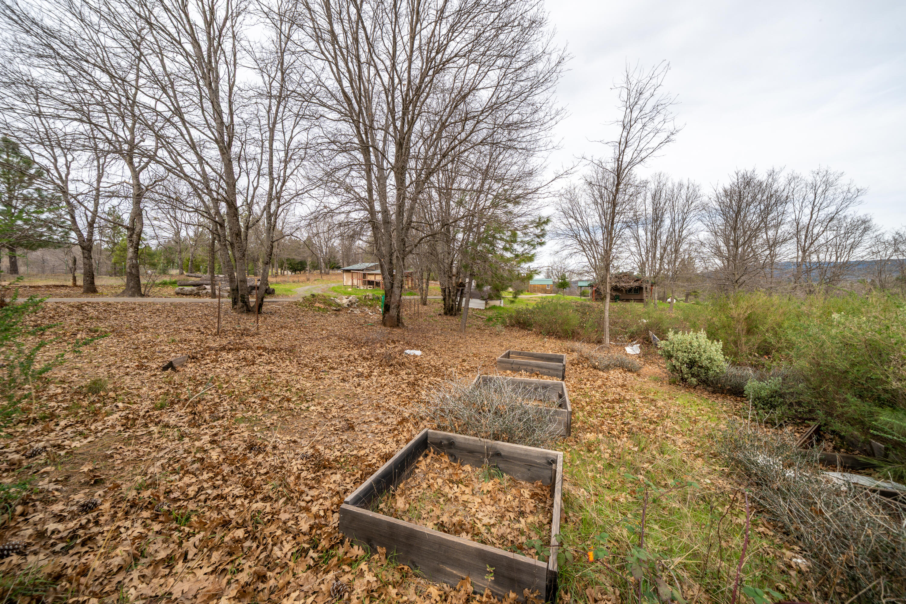 29800 Ranch Road Montgomery Creek, CA 96065 - Photo 56 of 74 29800 Ranch Rd-61