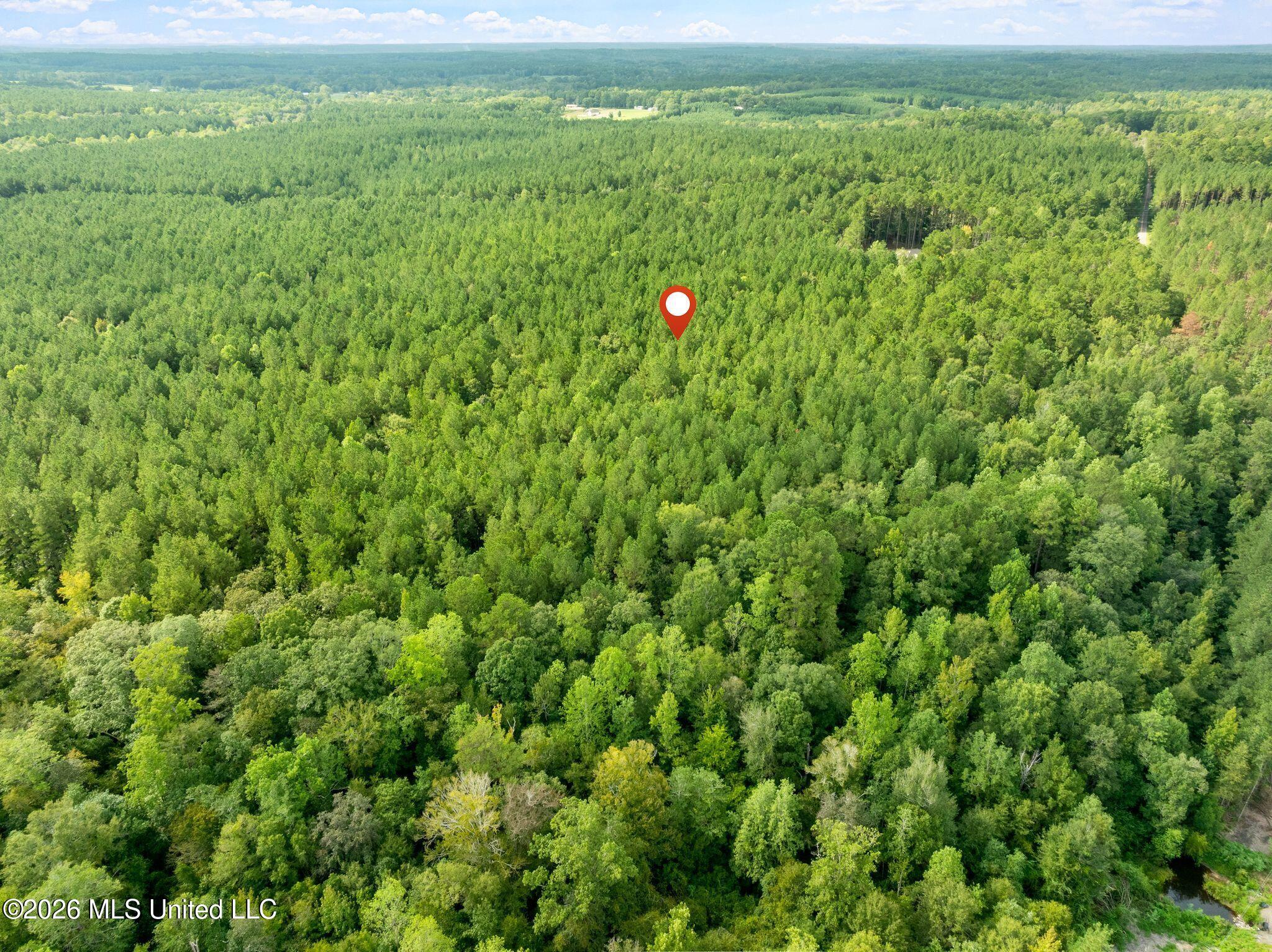 15-acres Porter Hudson Road Sumrall, MS 39482 - Photo 11 of 16 0_Porter_Hudson_Rd-11